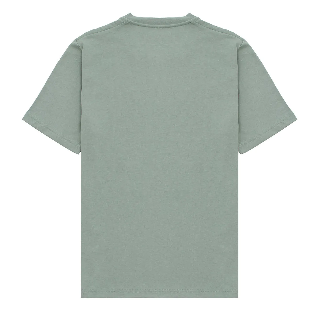 Adidas Terrex Logo T-Shirt Silver / Green