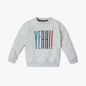 Boy's Regular Fit Graphic Sweat Tees