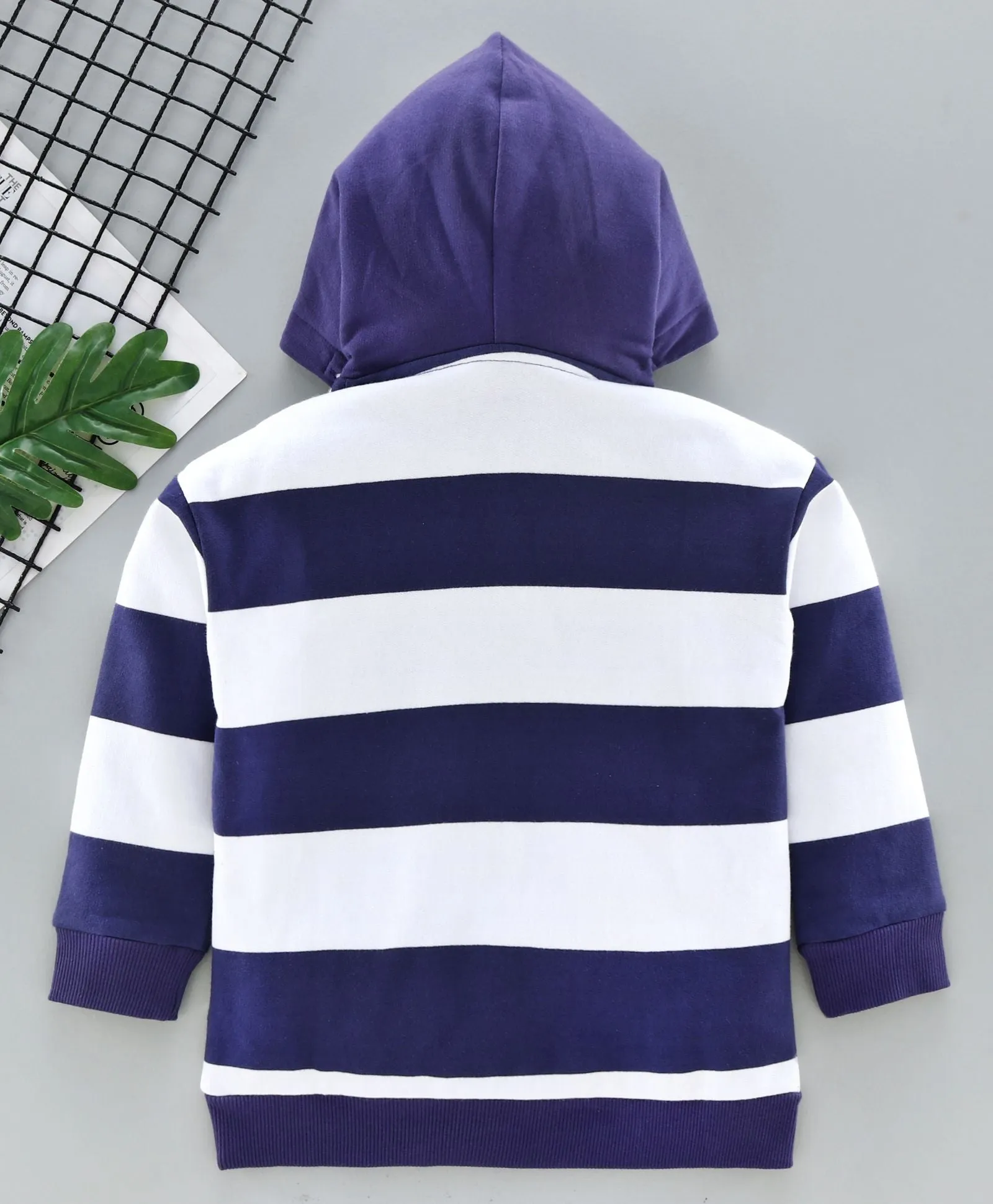 Ventra Violet Stripes Hoodie