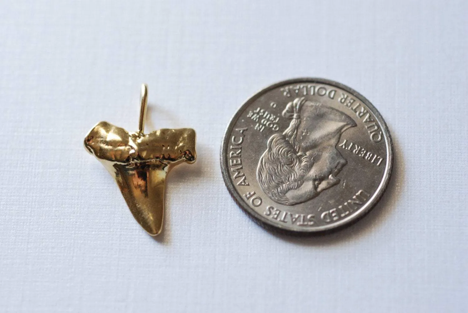 Vermeil Glossy Wholesale Gold Shark Tooth Pendant, Vermeil gold shark tooth charm,18kt gold plated over sterling silver, vermeil supplies